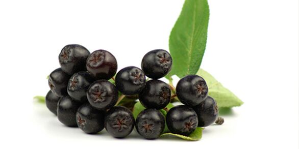 Μαύρα φρούτα τέφρας του βουνού χρήσιμα για τον διαβήτη
